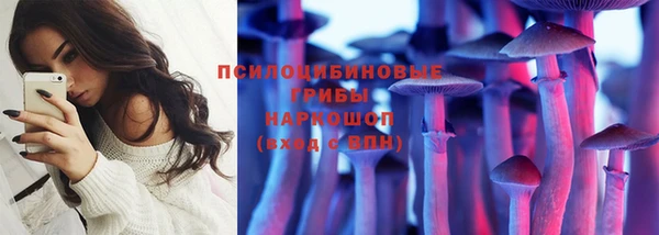 сатива Дмитровск